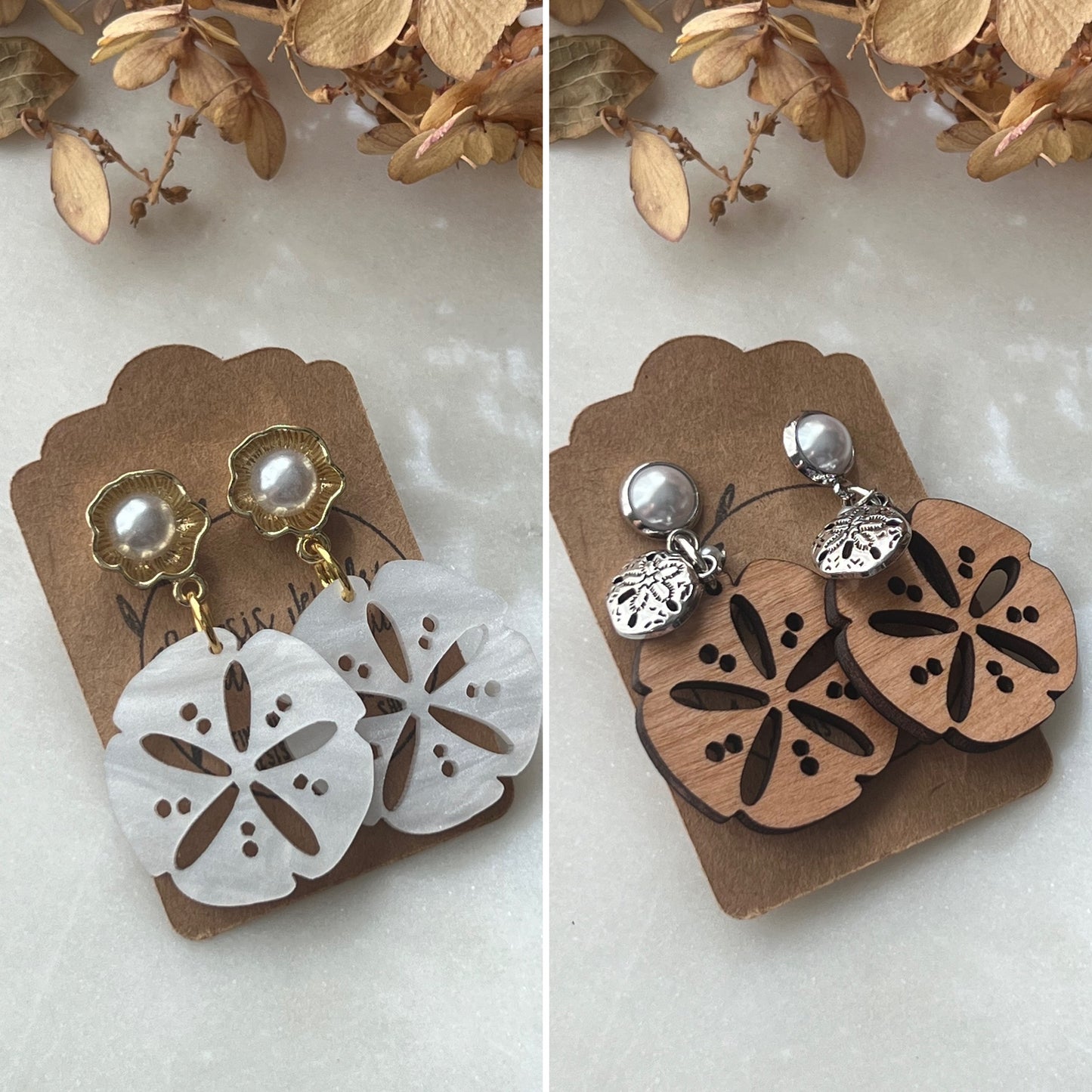 Large Sand Dollars