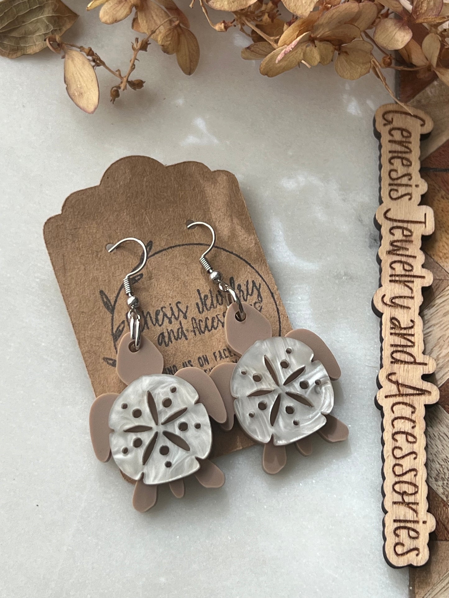 Sand Dollar Sea Turtles