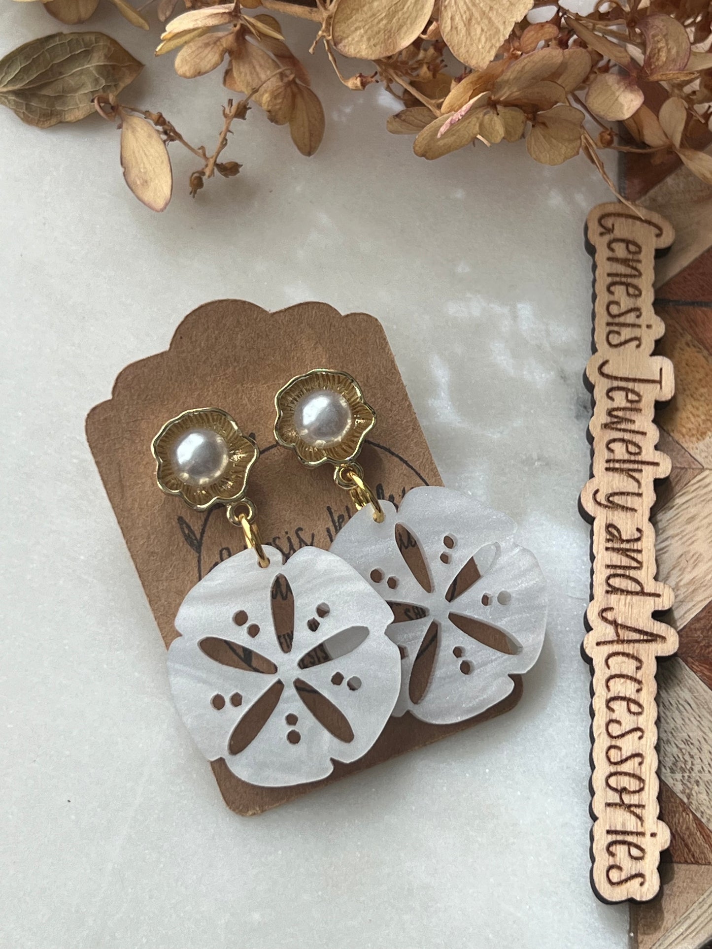 Large Sand Dollars