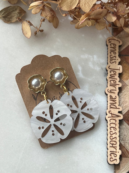 Large Sand Dollars