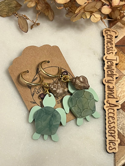 Turtle Shells
