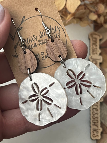 Large Sand Dollars