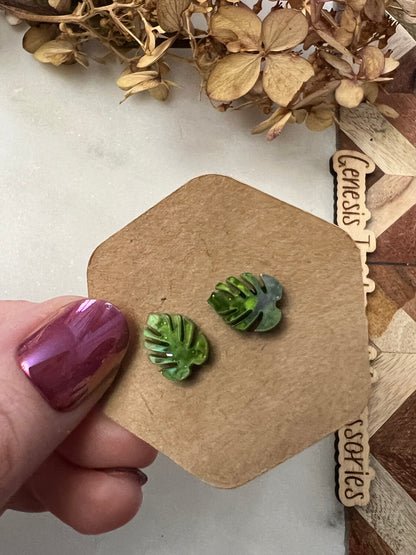 Monstera Leaf