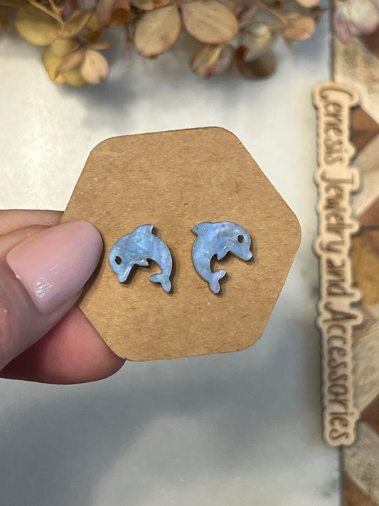 Dolphins & Whales