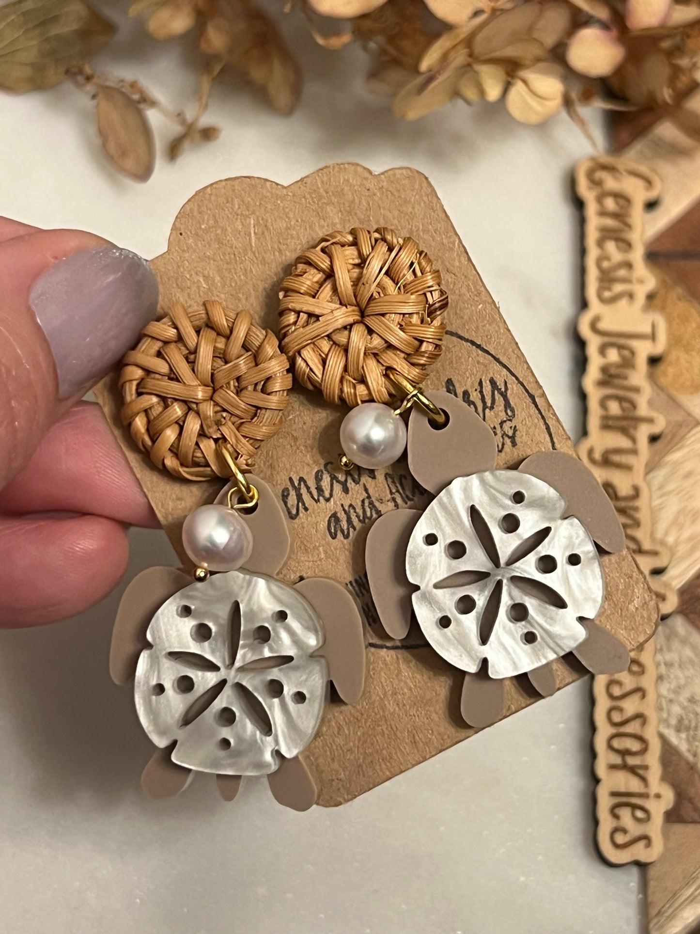 Sand Dollar Sea Turtles