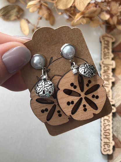 Large Sand Dollars