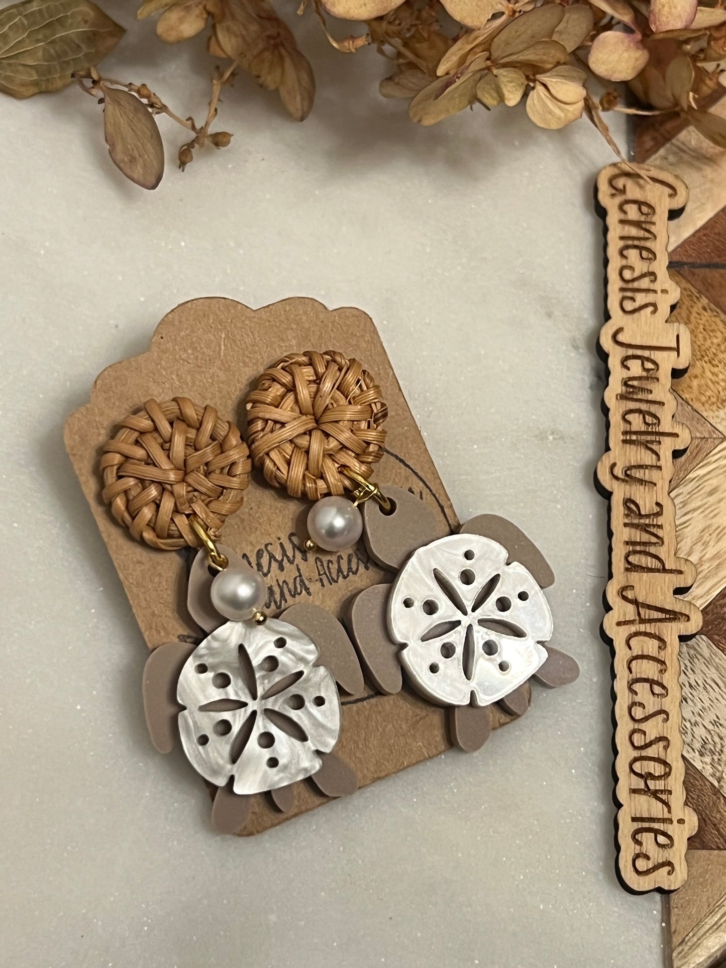 Sand Dollar Sea Turtles