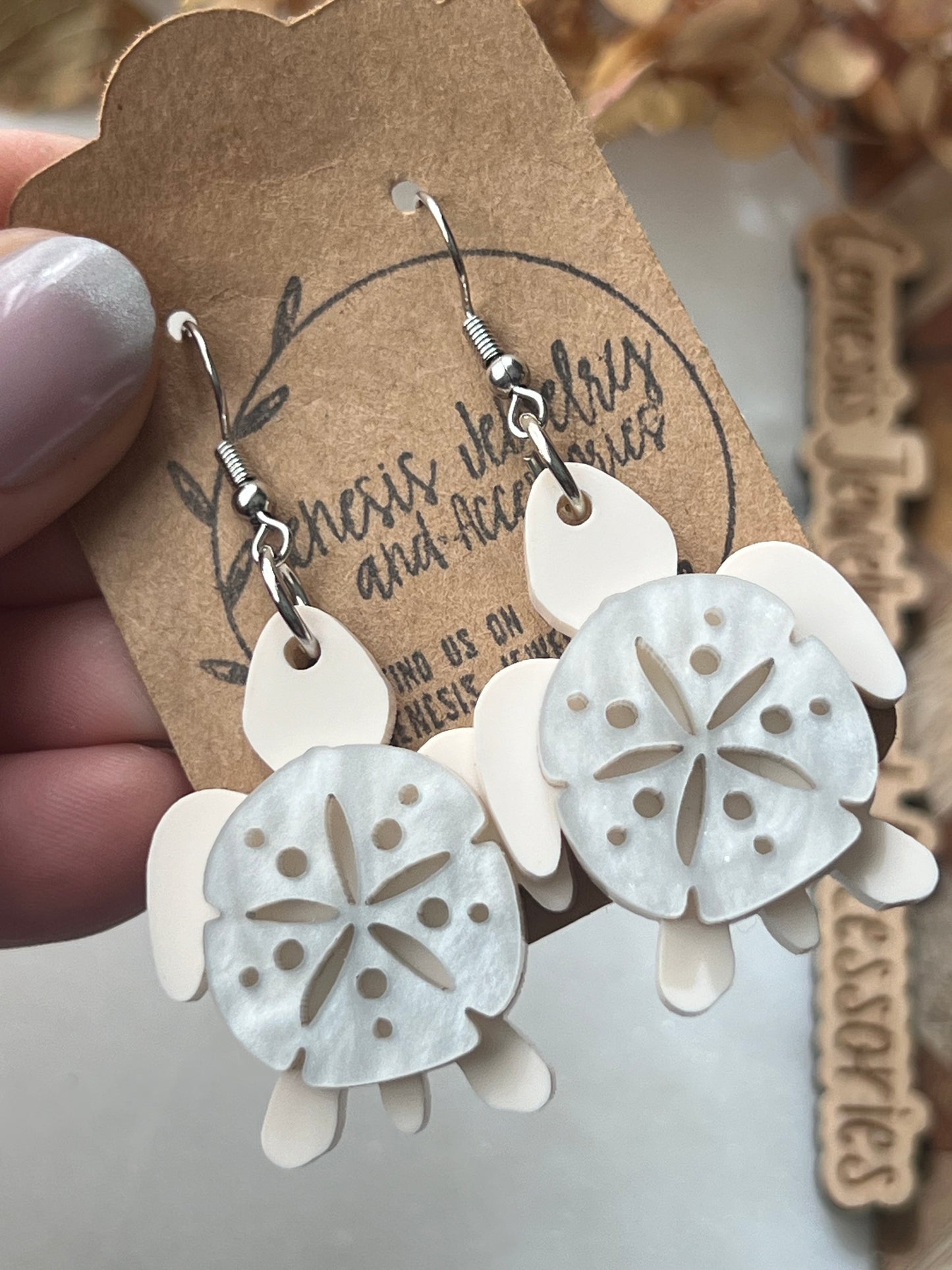 Sand Dollar Sea Turtles