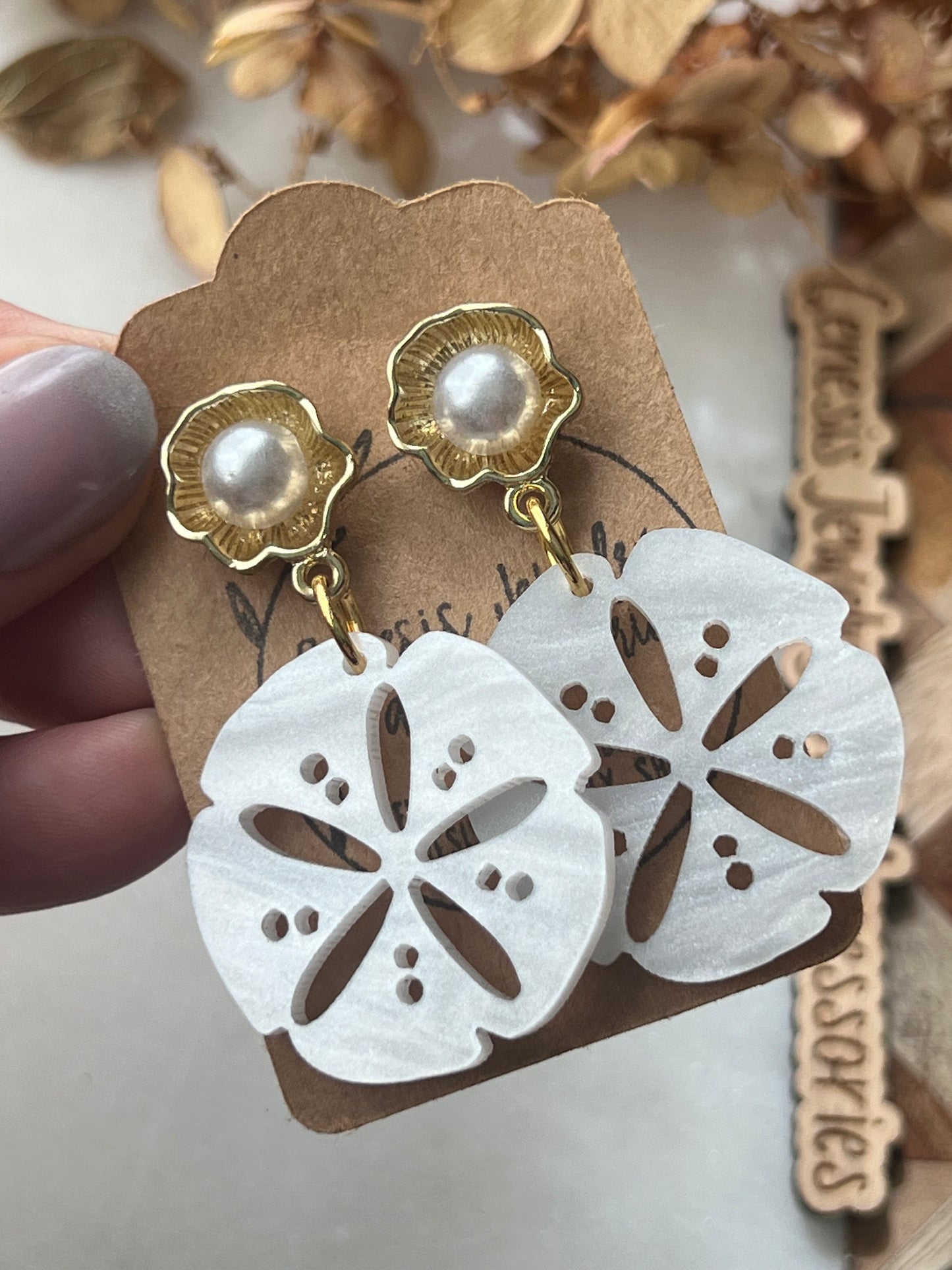 Large Sand Dollars