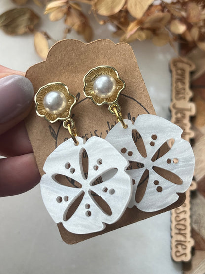 Large Sand Dollars