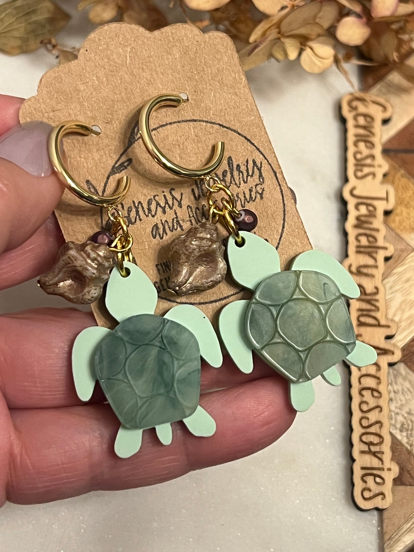Turtle Shells