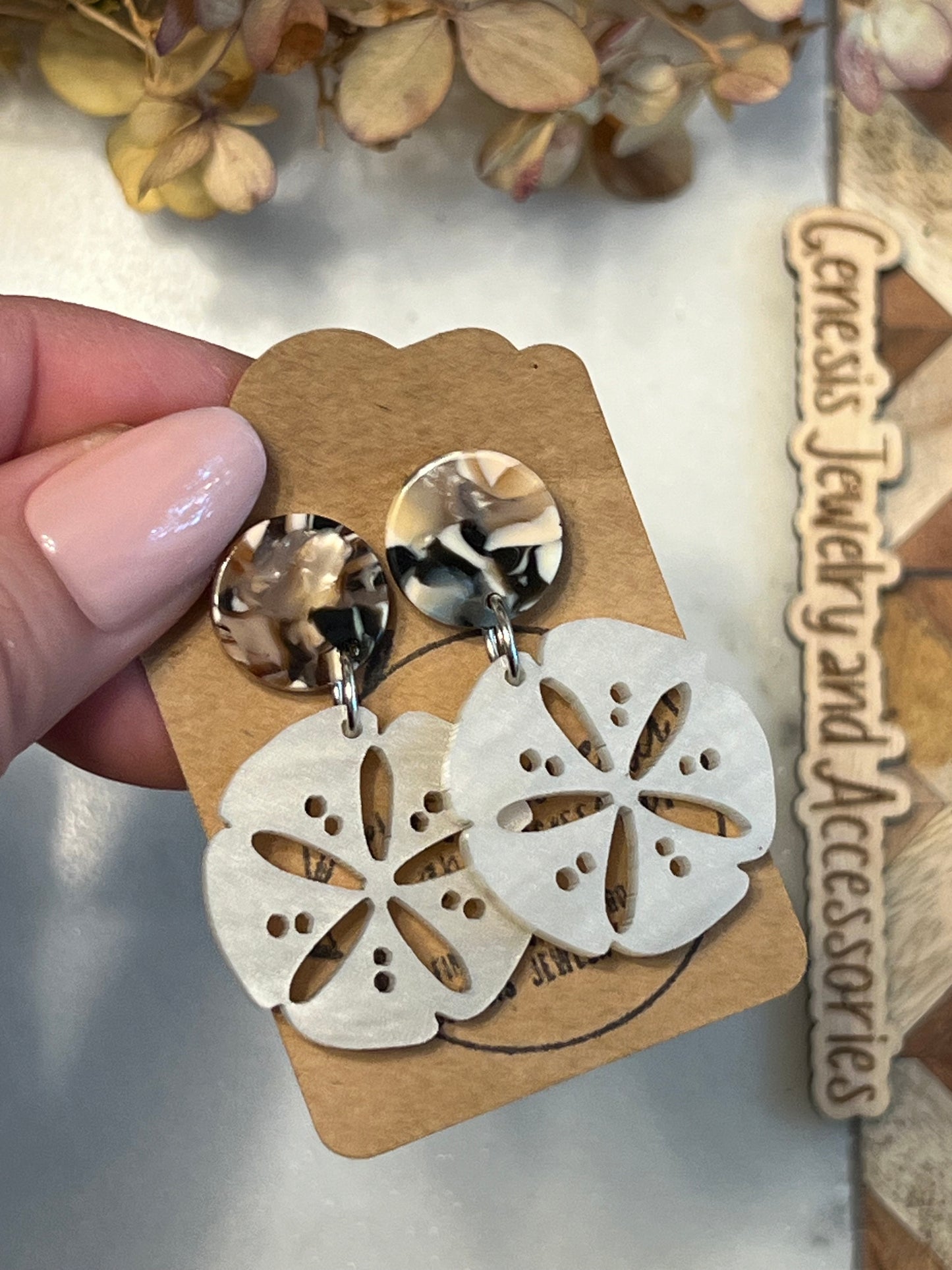 Small Sand Dollars