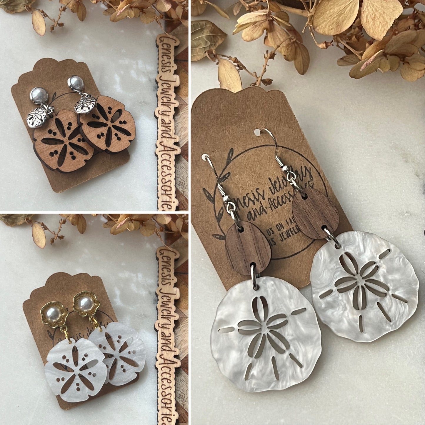 Large Sand Dollars