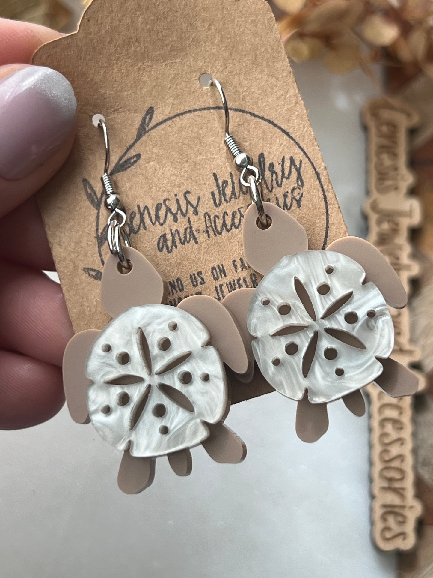 Sand Dollar Sea Turtles
